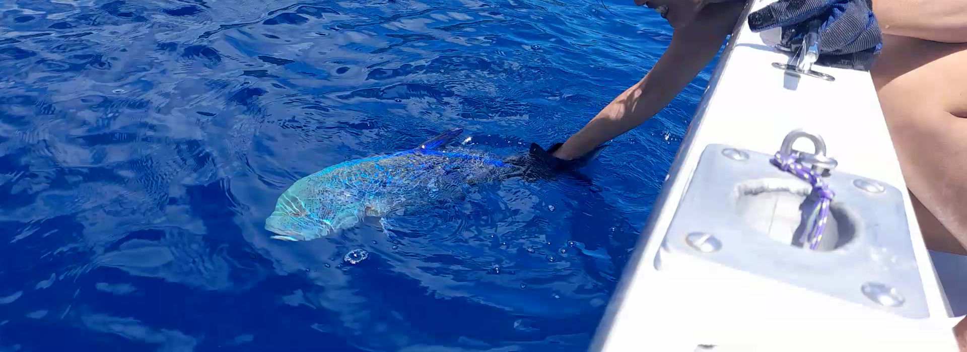 Moorea Sunrise Fishing Trips