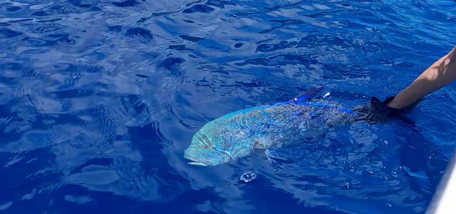Moorea Sunrise Fishing Trips