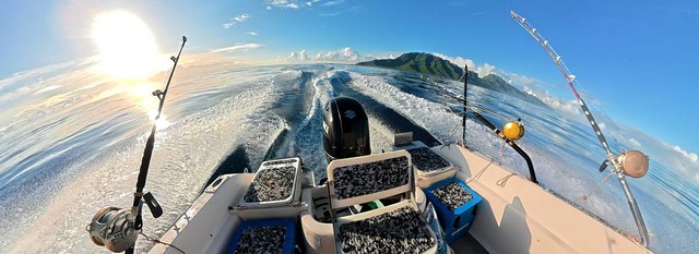 Moorea Sunrise Fishing Trips
