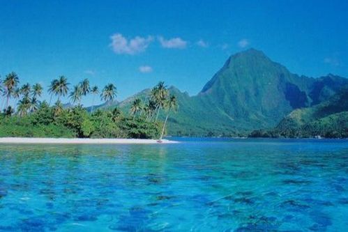 Promenade & snorkeling Moorea Sunrise Fishing Trips