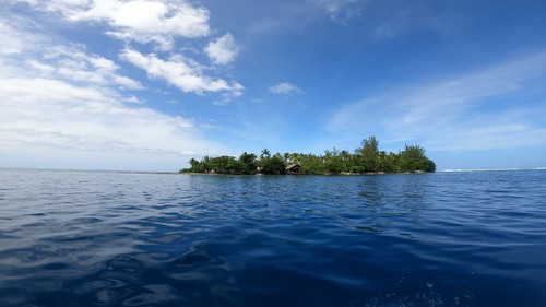 Promenade dans le lagon et snorkeling à Moorea